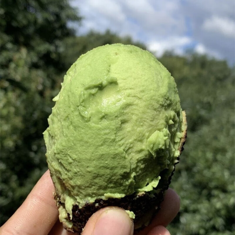 鲜青录 秘鲁牛油果鳄梨奶油酷热带新鲜宝宝水果 600g 尝鲜【6个中果 单果100-