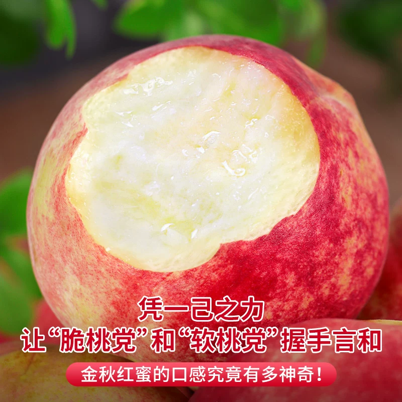 顾一 山东蒙阴金秋红蜜桃秋桃脆甜毛桃子当季新鲜水果现摘整箱 18.8元 - 线报酷