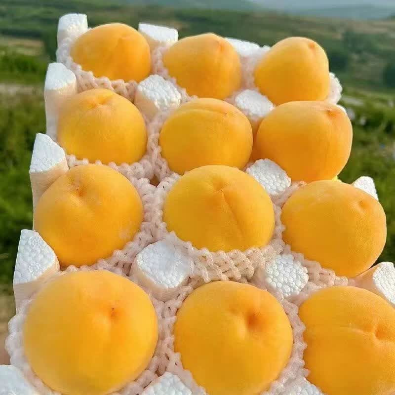 顺丰 山东蒙阴 特大果 黄桃 黄金油桃 净重2.25斤（5-7个） 14.99元（需买2件，