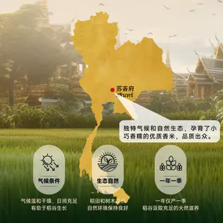孟乍隆 苏吝府茉莉香米 10kg20斤 89.74元 - 86线报 孟乍隆 苏吝府茉莉香米 10kg20斤 89.74元 - 86线报