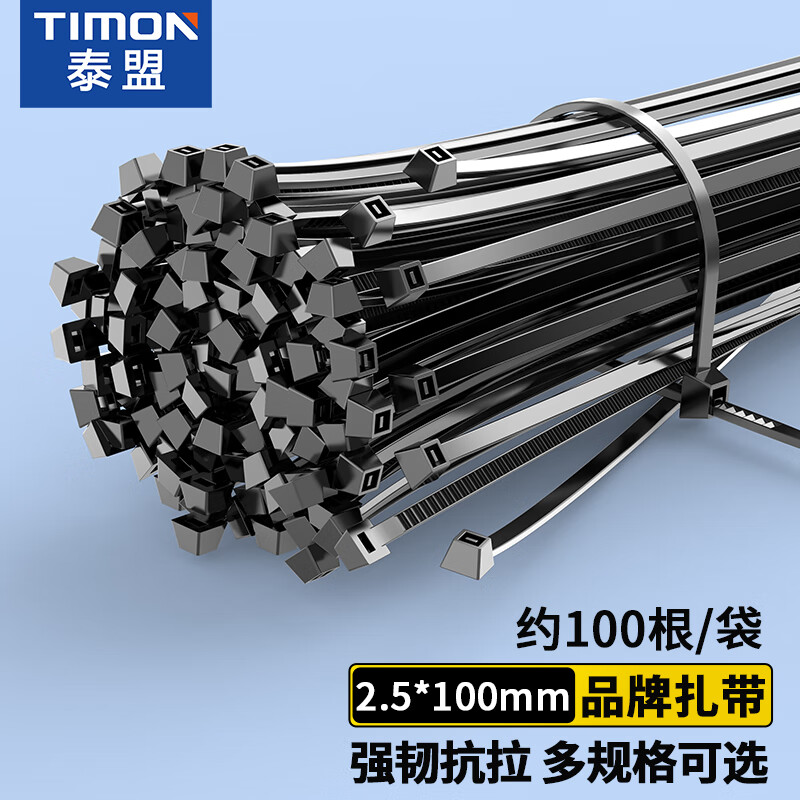 TIMON 泰盟 尼龙扎带 自锁式小号束线带捆扎带绑带 黑色 TM-HS2.5*100mm 约100根/