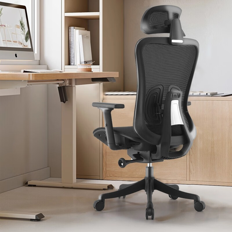 菲迪-至成 电脑椅 人体工学椅 F182-02-黑+空气座垫 353.41元（需用券）