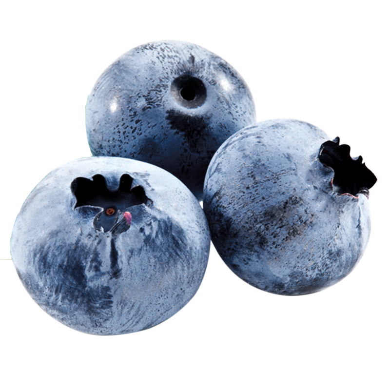 京东百亿补贴、plus会员:愉果（yuguo）蓝莓 国产云南蓝莓125g精选装 新鲜水果