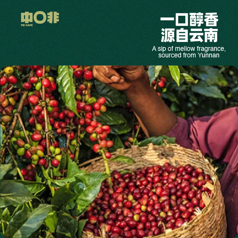 中啡 ZHONGFEI） 速溶黑咖啡粉纯苦美式即饮 云南小粒咖啡 20杯40g｜醇香美式 2g/袋 3.8元 - 86线报