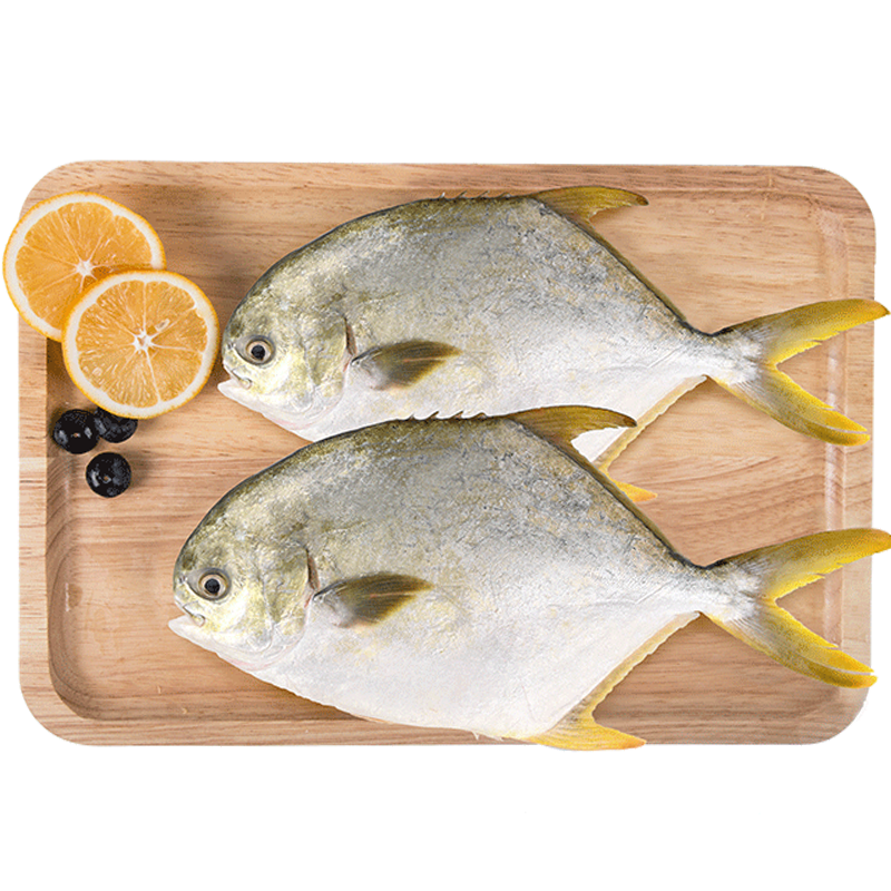 翔泰冷冻海南金鲳鱼700g 2条 生鲜鱼类 深海鱼 烧烤食材 海鲜水产*4 95.6元（