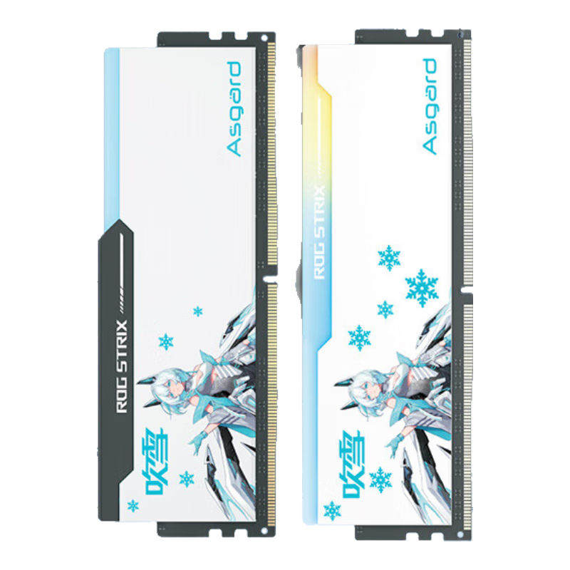 阿斯加特（Asgard）48GB(24GBx2)套装 DDR5 7200 台式机内存 RGB灯条-吹雪联名款 1192.