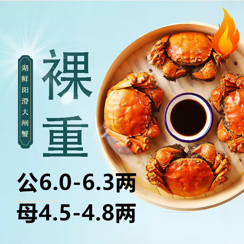 HUXIANYANGCHENG 湖鲜阳澄 大闸蟹 去绳足重 公6.0-6.3两母4.5-4.8两4对8只 鲜活特大