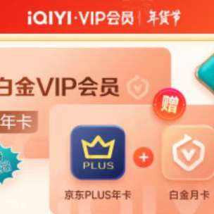 爱奇艺白金VIP会员年卡赠京东PLUS年卡 249元（需领券）