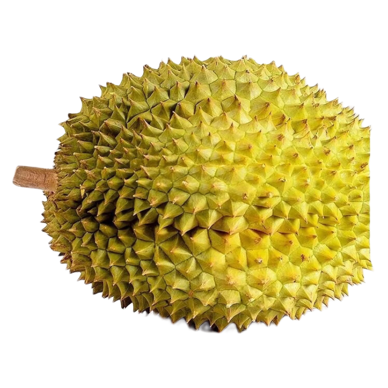 :绿鲜森（lvxiansen）巴掌榴莲泰国进口金枕头鲜果带壳应季孕妇新鲜水果生鲜