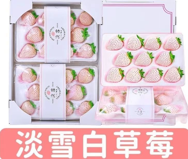 钱小二 淡雪草莓 1斤2盒/单盒15-20粒礼盒装+京东空运 56元（需用券）