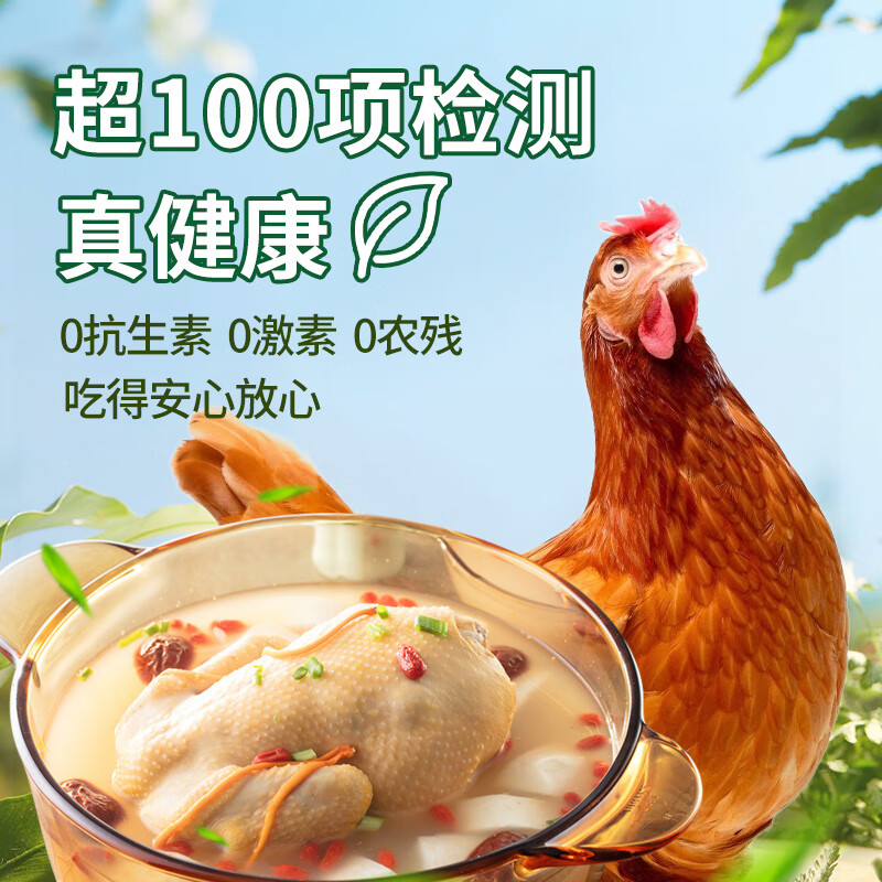 DOYOO 大用 散养三黄鸡 800g*3 39.9元