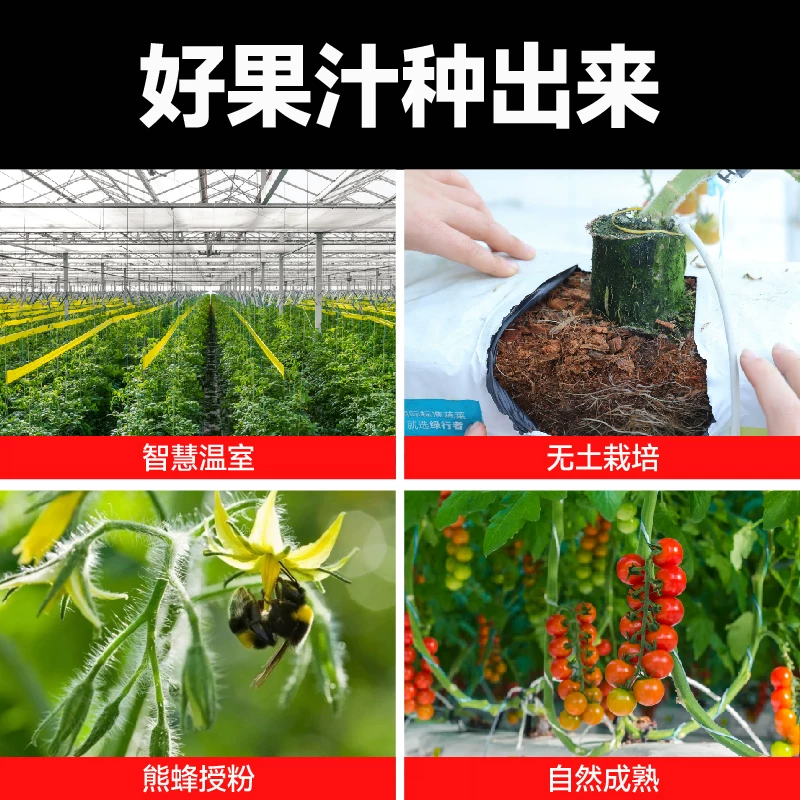 一颗大 100%NFC番茄汁 200ml*10果汁饮料 30.8元 - 线报酷