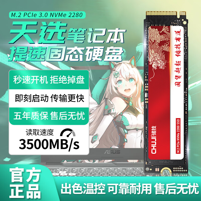 CHUJI 储技 适用华硕天选固态硬盘1t专用2/3/4/puls笔记本PCIE高速NVME协议SSD扩展m