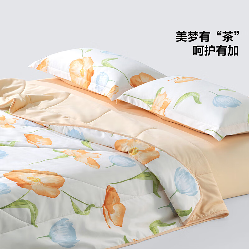 BLISS 百丽丝 A类可水洗茶氨酸抗菌夏凉被 150*200cm 34.93元（需用券）