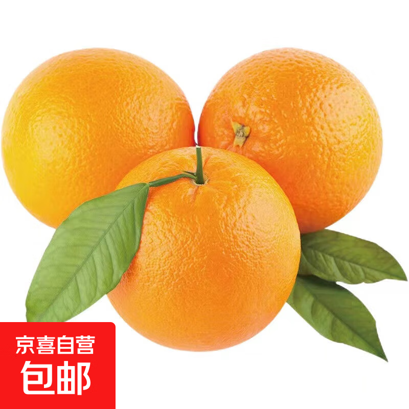 京喜 赣南 赣南早熟橙 80-89mm 10斤装 18.5元（需用券）