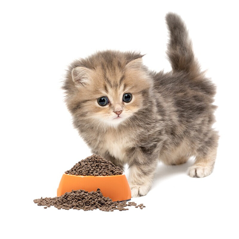 NOURSE 卫仕 膳食平衡全价幼猫粮 幼猫猫粮猫咪宠物食品5.4kg（3袋整箱装） 203