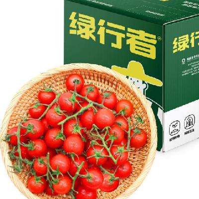 GREER 绿行者 散串樱桃番茄500g*4盒 29.35元（需用券）