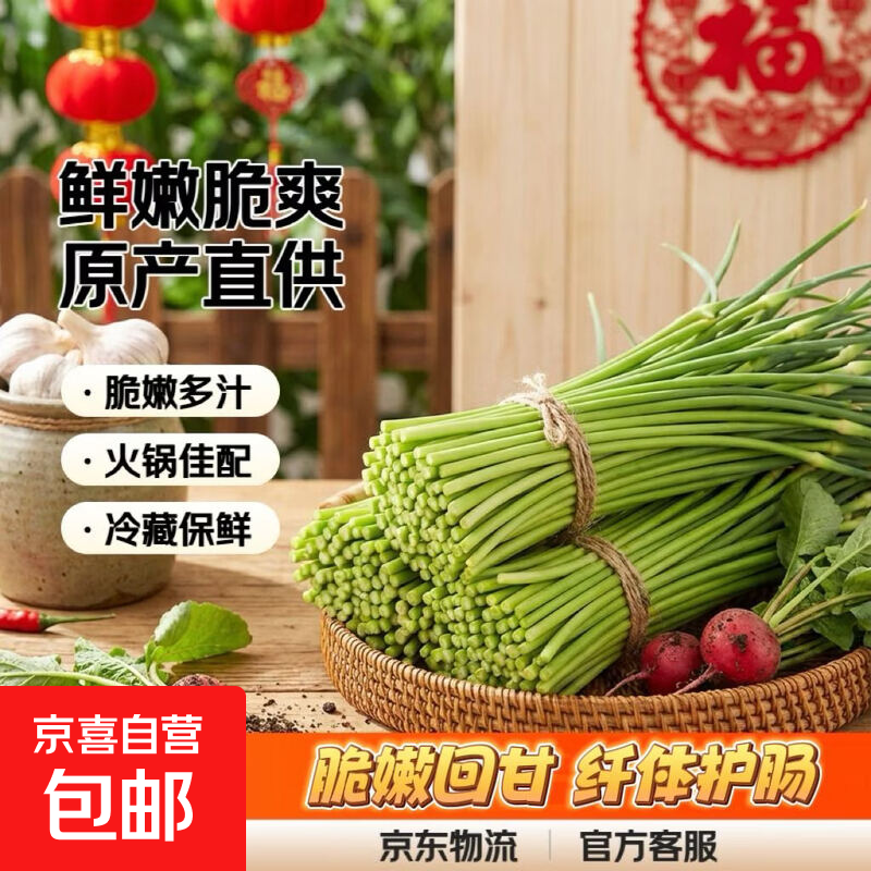 京东 生鲜蔬菜农家蒜薹超市品质蒜苔健康好吃超低价产地直发 河北净重1.8