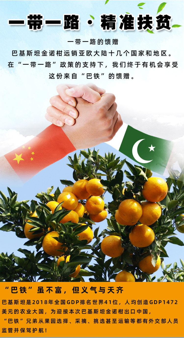 巴基斯坦进口甜桔子大橘保甜4 7斤16 9元包邮此前12元 斤 天猫 逛丢 实时同步全网折扣