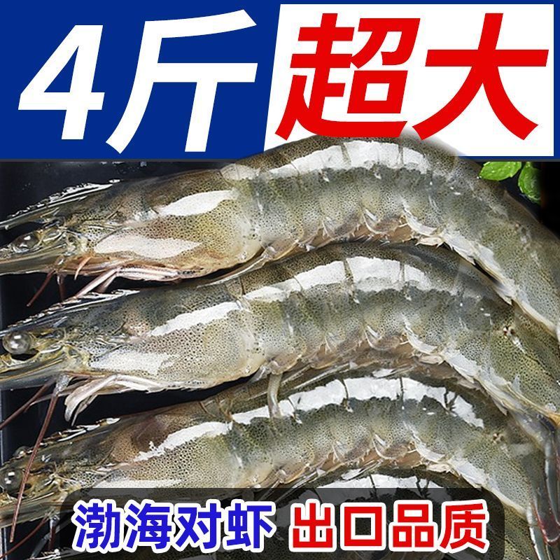 百亿补贴：XYXT 虾有虾途 渤海大虾 17-19厘米 4斤 67.89元（多人团）