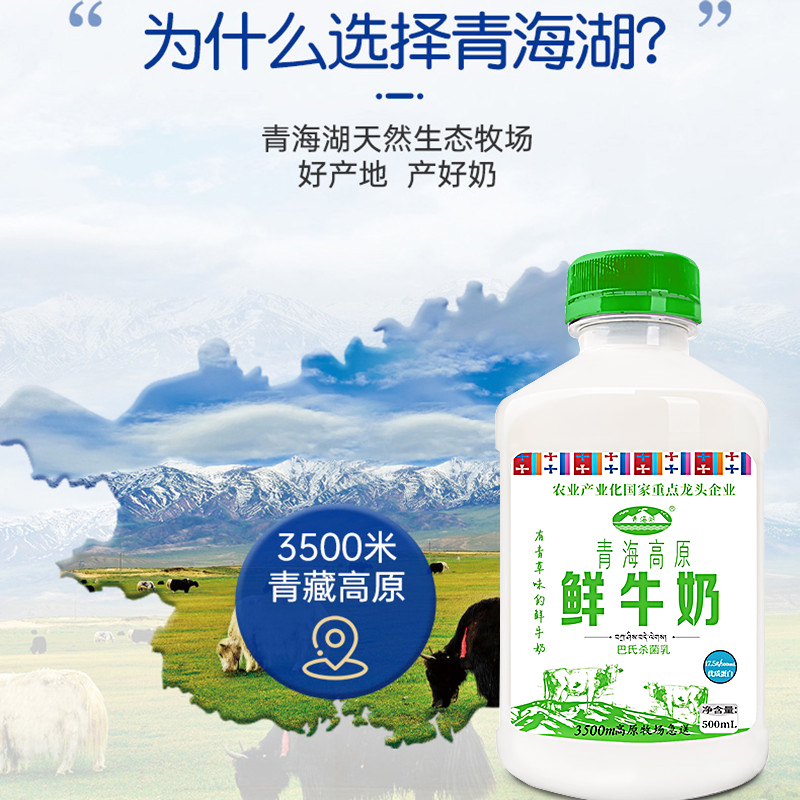 青海湖 高原鲜牛奶500ml*4瓶巴氏杀菌低温鲜奶 29.2元（需用券）