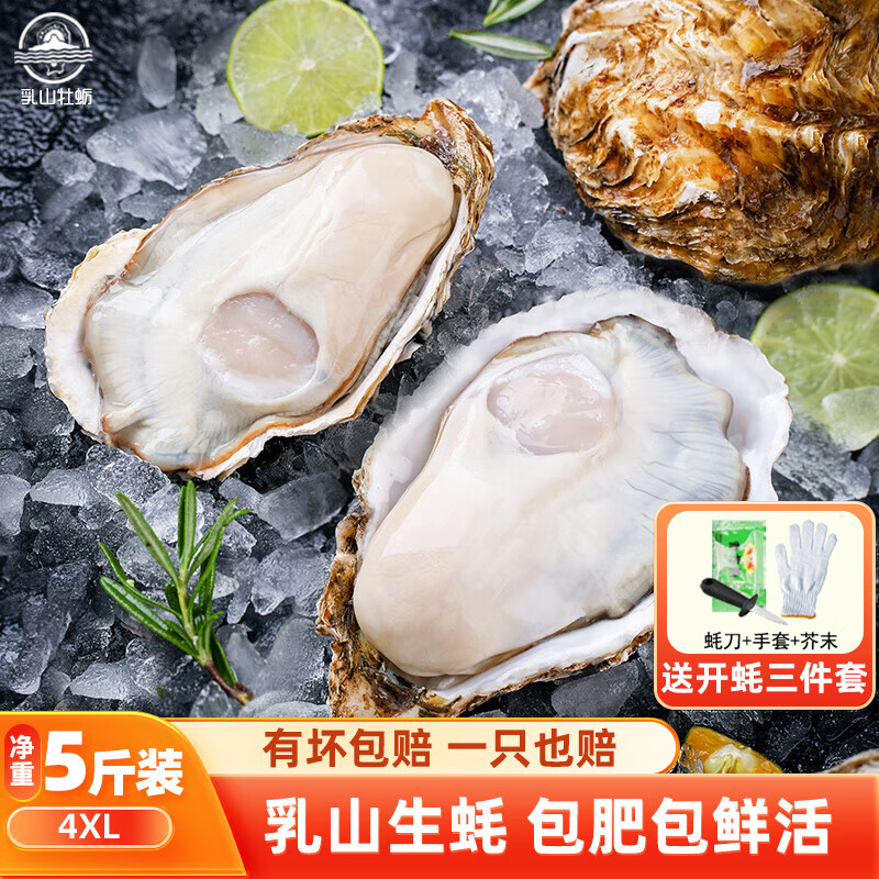 乳山牡蛎 鲜活乳山生蚝4XL号 户外烧烤食材 净重2.5kg 8-15只 90.48元（需用券）