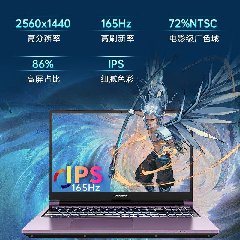 COLORFUL 七彩虹 将星X15-AT 15.6英寸笔记本电脑（i7-13650HX、16GB、1TB、RTX4060） 598