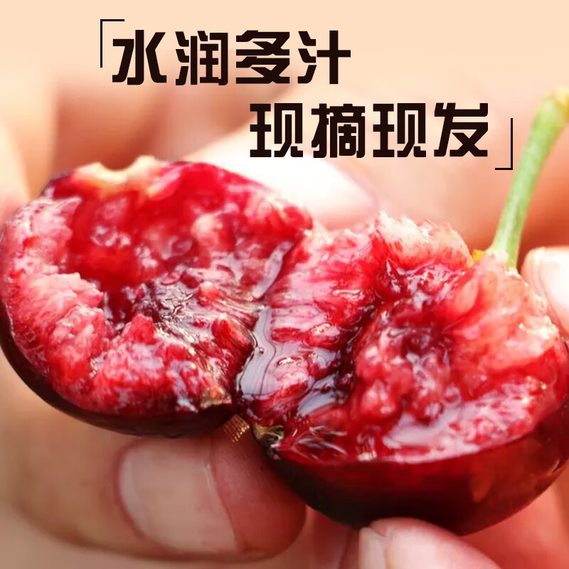 移动端、京东百亿补贴：京鲜生 大连美早樱桃/车厘子 J级/8g+ 1.8斤装 生鲜水