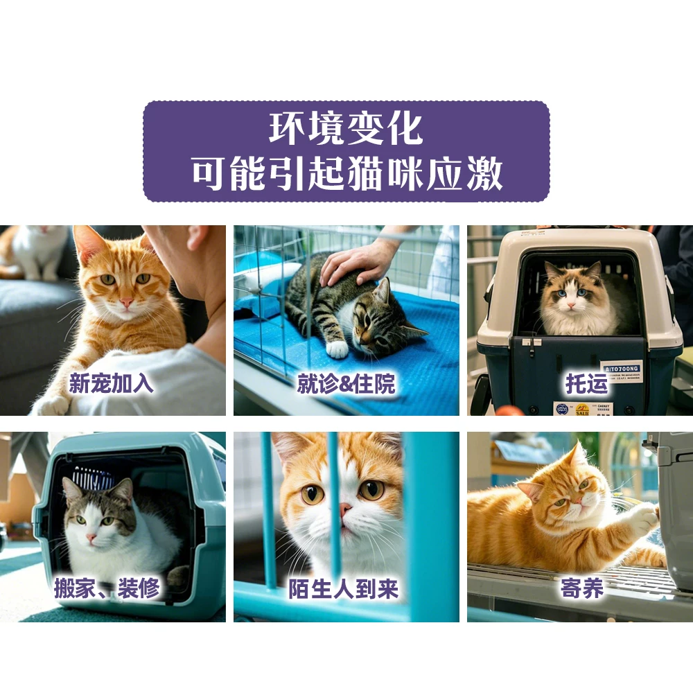 皇家 CAL36情绪舒缓成猫猫咪干粮 1.5kg 175.45元 - 清风线报