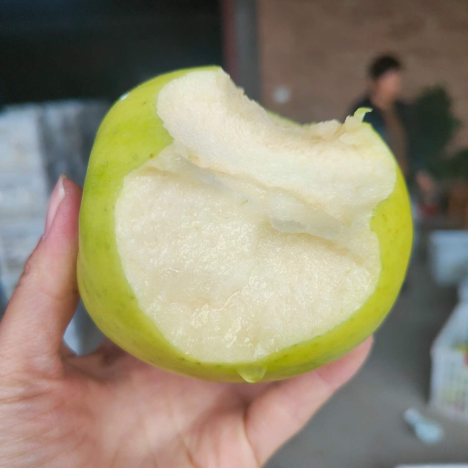 PLUS会员:新农妹 陕西白水瑞雪苹果 中大果5斤（8-12个） 23.07元