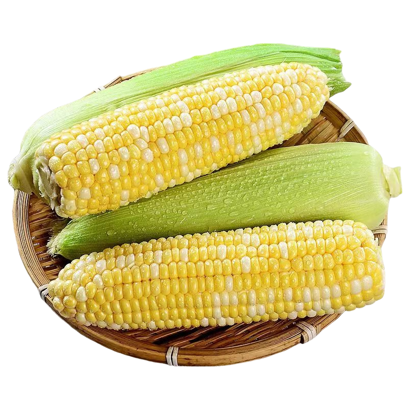 滇味十足 甜嫩 水果玉米 4.9元（需用券）