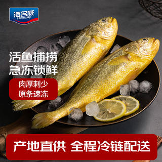 海名威 冷冻黄花鱼700g/2条 宁德大黄鱼 海鱼 生鲜鱼类 海鲜水产 国庆 28.99元 - 线报酷 海名威 冷冻黄花鱼700g/2条 宁德大黄鱼 海鱼 生鲜鱼类 海鲜水产 国庆 28.99元 - 线报酷