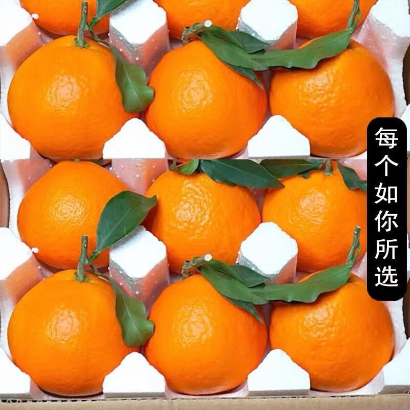 樱鲜 爱媛38号果冻橙 特大果约11粒 果径80-85mm 冰糖橙子 爱媛橙 29元（需用券