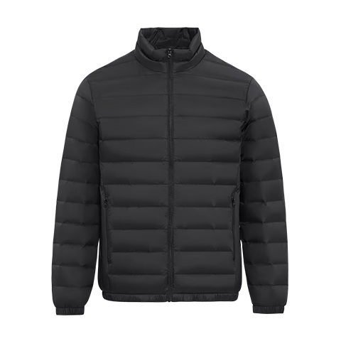 雪中飞 男女立领秋羽绒服 X-螺甸紫 6311 女 L 175/96A 99元(需领券)