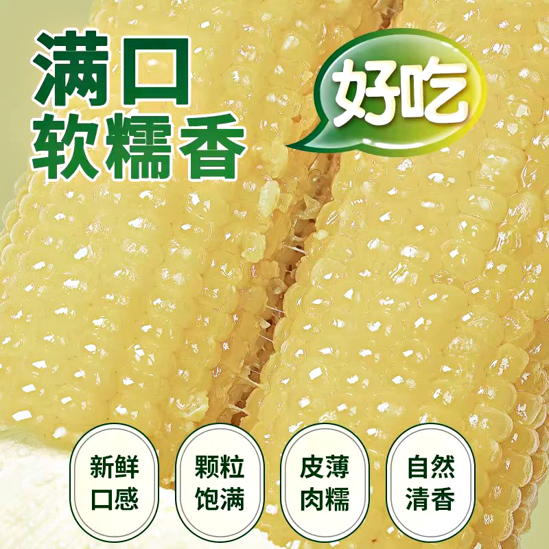 丝农优品 新鲜白糯玉米 320g*8支 ￥13.5