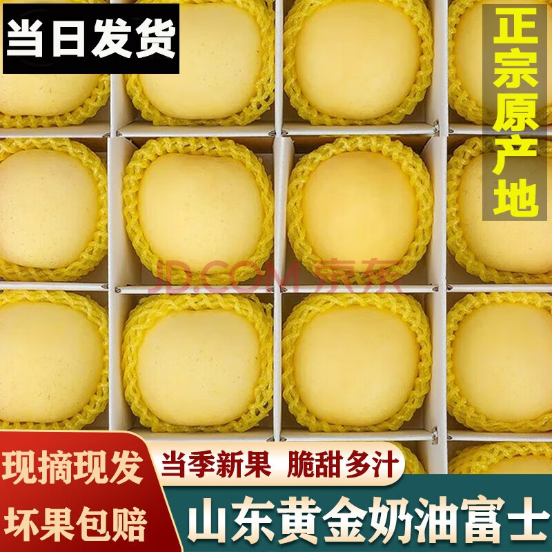 ZOCO 山东烟台奶油富士苹果 精选奶油富士5斤装免费升级特大果90+ 32.9元（需