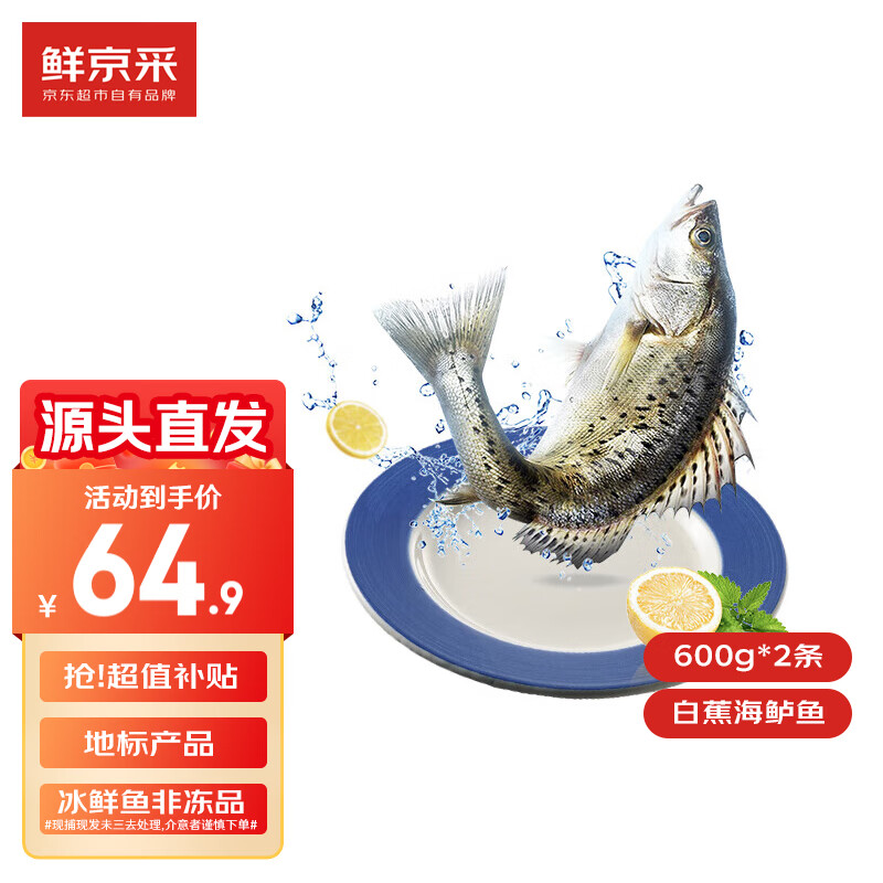 鲜京采 冰鲜白蕉海鲈鱼2条装(共2.4斤) 地标产品 源头直发 64.9元