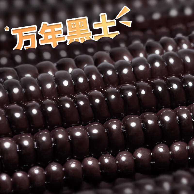 北纬47度 黑珍珠甜糯玉米段 2.8斤/箱 东北鲜黏糯玉米 含花青素 减脂早餐 38.4元 - 线报酷