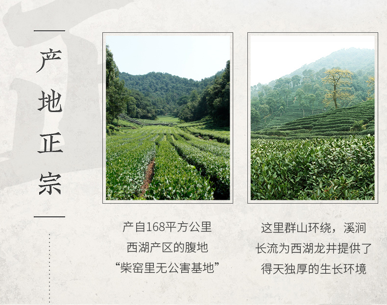 2020新茶，梅府茗家 雨前西湖龙井 250g 双重优惠后28元包邮 买手党-买手聚集的地方