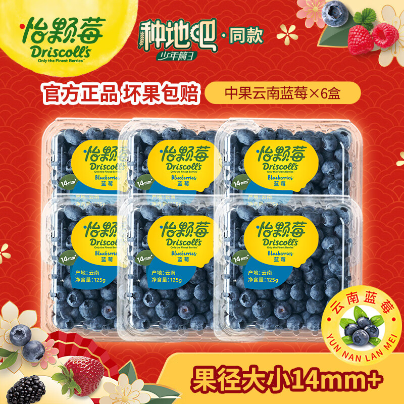 Driscoll's 怡颗莓 Only the Finest Berries 怡颗莓 国产云南蓝莓 蓝莓小果 125g*6