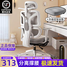 科润 人体工学椅子护腰电 极白-乳胶款-定型坐垫 可旋转可升降扶手 +尼龙脚