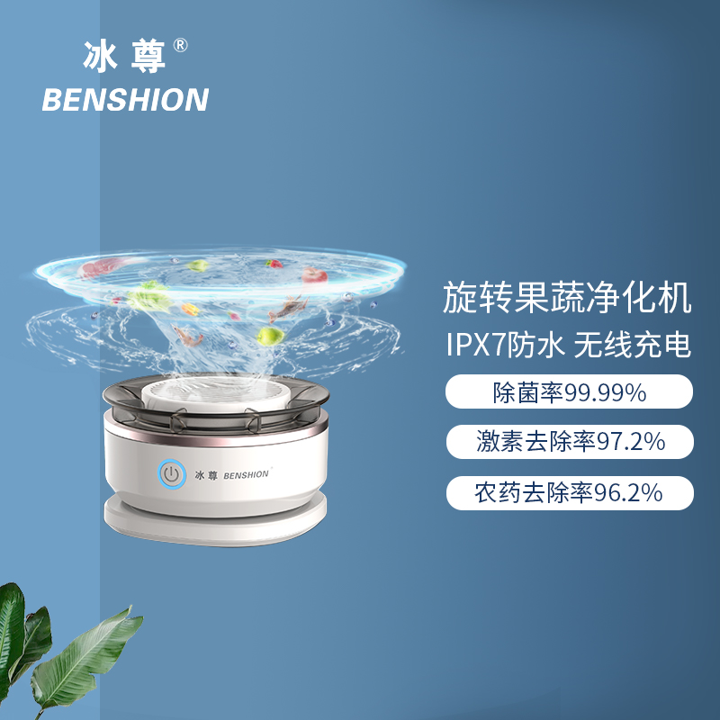 冰尊 BENSHION 果蔬清洗机家用无线旋转洗菜机除菌99%食材净化机解毒净化器 46