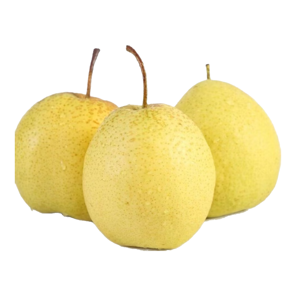 京喜加 赵县雪花梨1斤+赠同款1件 单果200g+ 4.99元(含赠合2.5元/件)