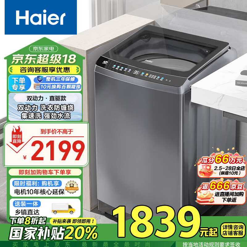 海尔 Haier 波轮洗衣机全自动家用 10公斤大容量 直驱变频 双动力防缠绕 除螨