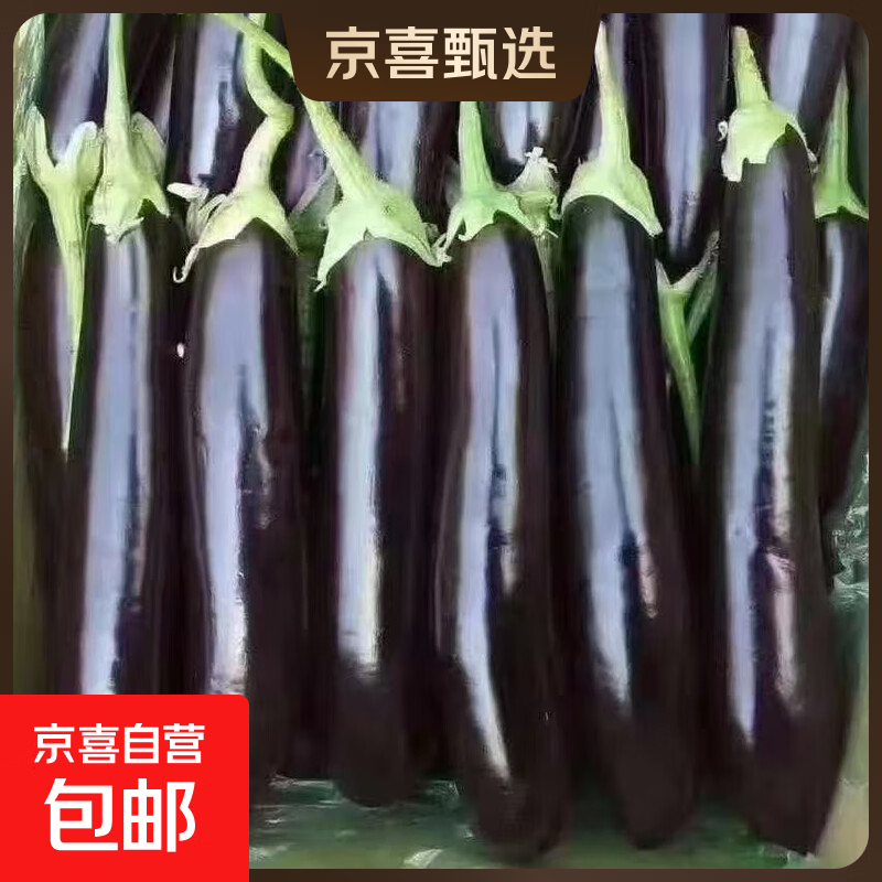 京喜 山东农家绿把紫皮长茄 2斤净重 1.99元