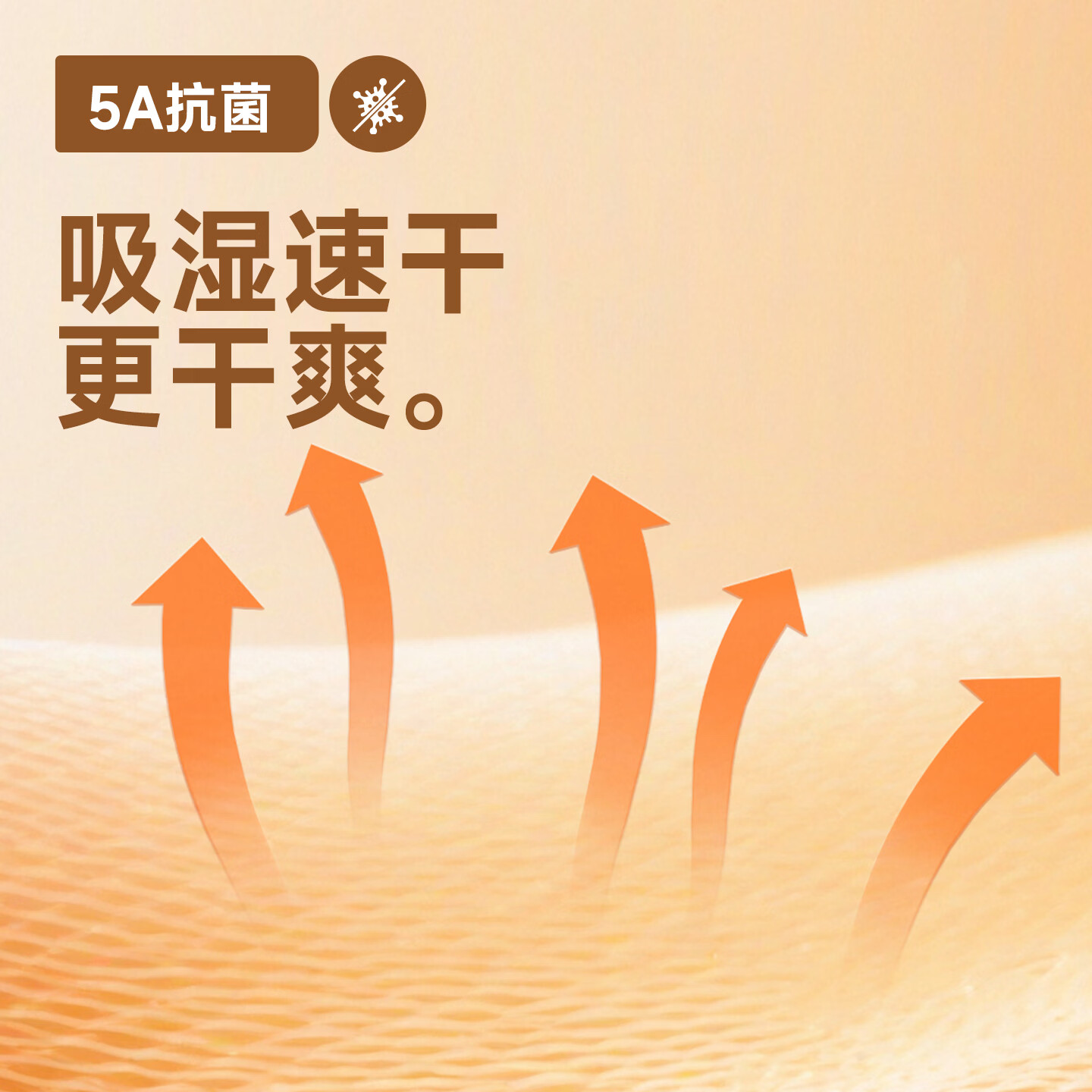 班尼路 哈苏线撞色长袖T恤 2026年春秋女装新款 休闲户外上衣 多色可选 29.91元 - 86线报