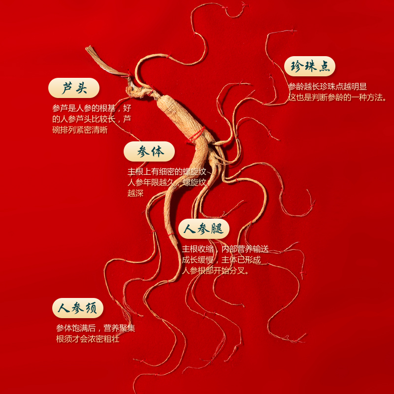 俞文清 长白山精选5年人参 8g 14.9元包邮（需用券）