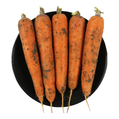 京喜加 新鲜现挖现发胡萝卜农家自种蔬菜水果沙地红萝卜 带泥胡萝卜2斤 含