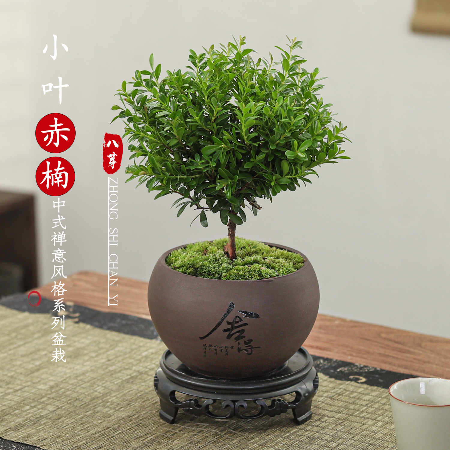 八芽 绿植花卉盆栽 (舍得紫砂盆赤楠+苔藓+底座) 6.7元(需用券)