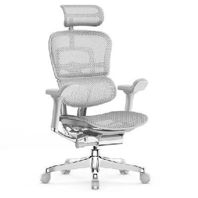 20号20点、PLUS会员：Ergonor 保友办公家具 金豪E 2代 人体工学电脑椅 银白色 Q4